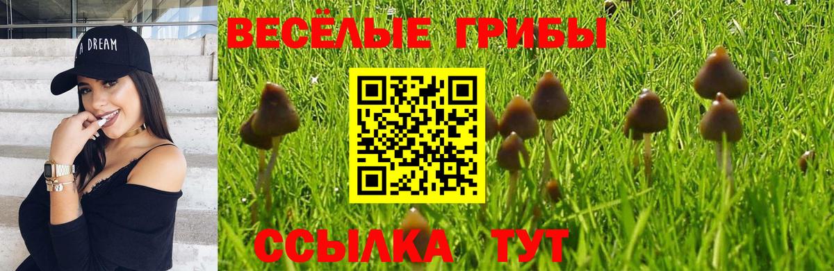 Галлюциногенные грибы ЛСД  как найти закладки  Касимов  Вход с VPN 